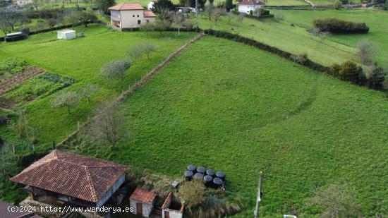 Venta de terreno edificable con parte de una panera - ASTURIAS