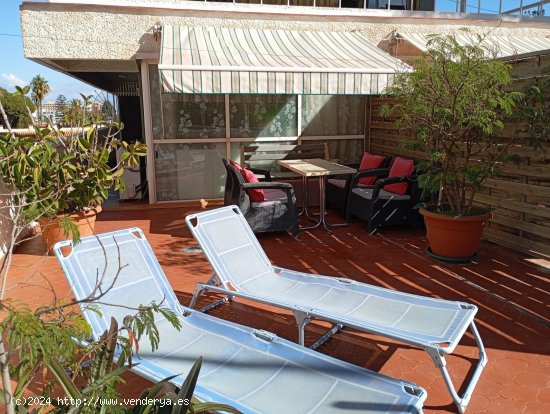  Apartamento en alquiler en Benalmádena (Málaga) 