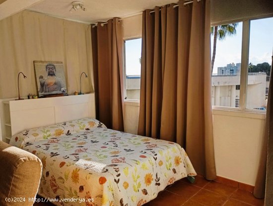 Apartamento en alquiler en Benalmádena (Málaga)