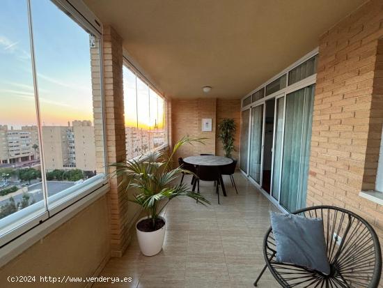 Fantástica vivienda en urbanización en la zona de Babel. - ALICANTE