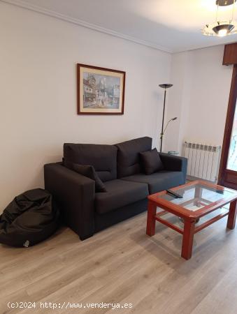 VENTA  APARTAMENTO REFORMADO EN BRAZOMAR - CANTABRIA