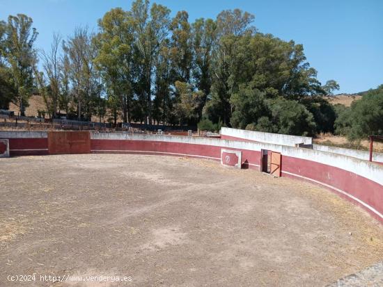 FINCA GANADERA DE 113 HECTAREAS, CON PLAZA DE TOROS Y NAVE - CADIZ