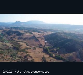 FINCA GANADERA DE 113 HECTAREAS, CON PLAZA DE TOROS Y NAVE - CADIZ