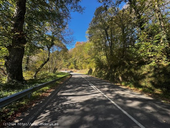 Solar en venta en Salas (Asturias)