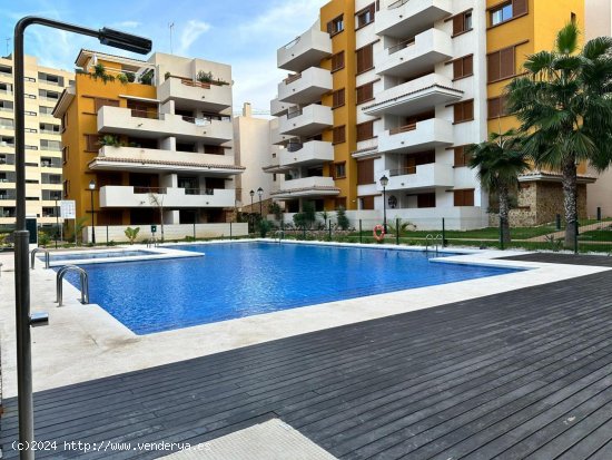 Piso en venta en Torrevieja (Alicante)