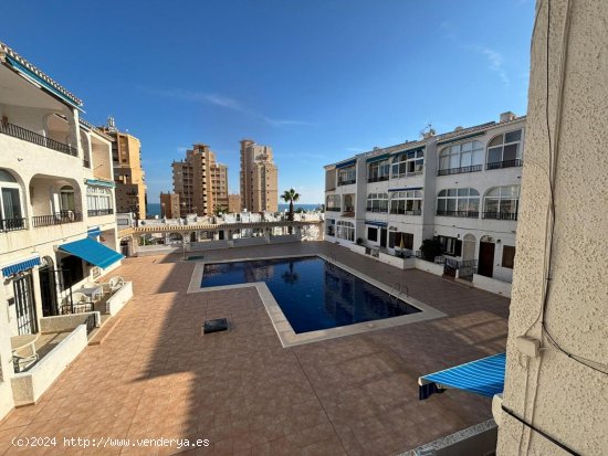  Apartamento en venta en Torrevieja (Alicante) 