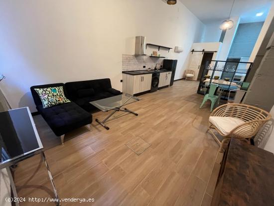 Alquiler Loft Larga Temporada - MALAGA