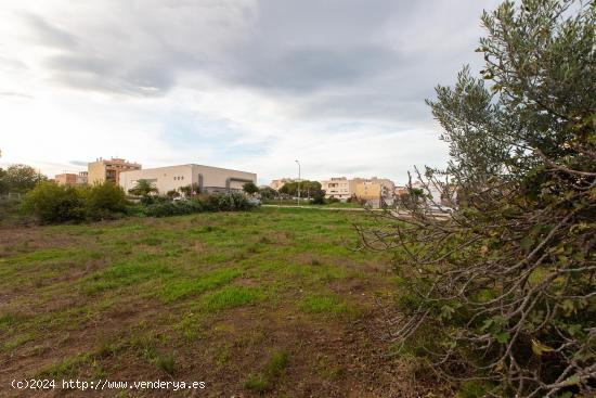  Finca rustica de 1178 m2. Ideal para huerto. Al lado del pueblo! - TARRAGONA 