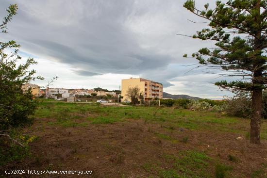 Finca rustica de 1178 m2. Ideal para huerto. Al lado del pueblo! - TARRAGONA