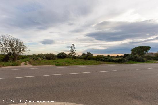 Finca rustica de 1178 m2. Ideal para huerto. Al lado del pueblo! - TARRAGONA