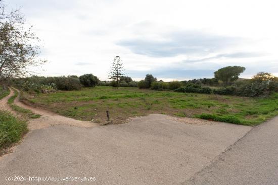 Finca rustica de 1178 m2. Ideal para huerto. Al lado del pueblo! - TARRAGONA