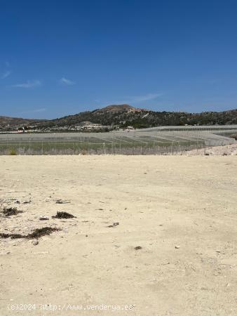  Parcela urbana de 600m² con vistas a San Pascual de Orito - ALICANTE 