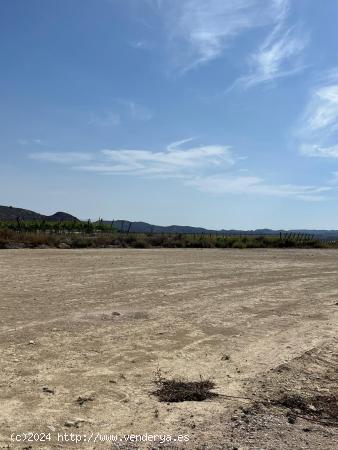 Parcela urbana de 600m² con vistas a San Pascual de Orito - ALICANTE