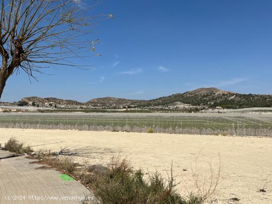 Parcela urbana de 600m² con vistas a San Pascual de Orito - ALICANTE