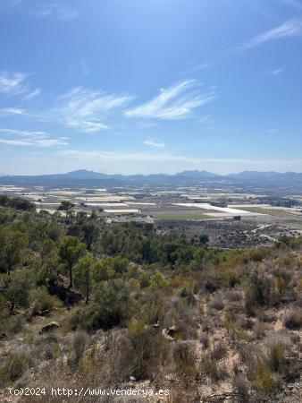 Parcela urbana de 600m² con vistas a San Pascual de Orito - ALICANTE