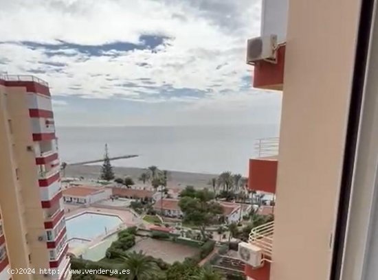 Estudio en venta en Torrox (Málaga)