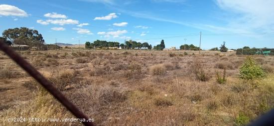 Terreno en la carretera del Elche al Altet - ALICANTE