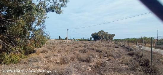 Terreno en la carretera del Elche al Altet - ALICANTE