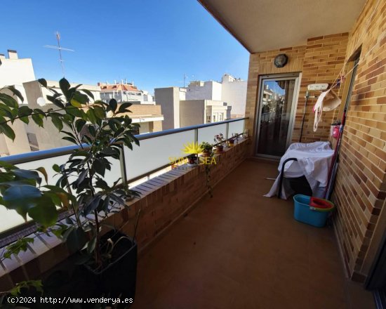 Apartamento en alquiler en Torrevieja (Alicante)