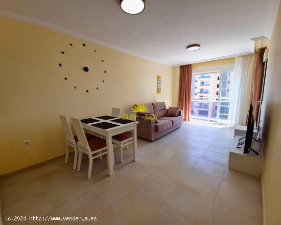 Apartamento en alquiler en Guardamar del Segura (Alicante)