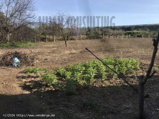 SE VENDE PARCELA ZONA HUEVAR DEL ALJARAFE - Aljarafe