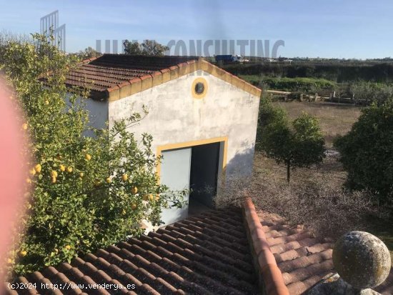 SE VENDE PARCELA ZONA HUEVAR DEL ALJARAFE - Aljarafe