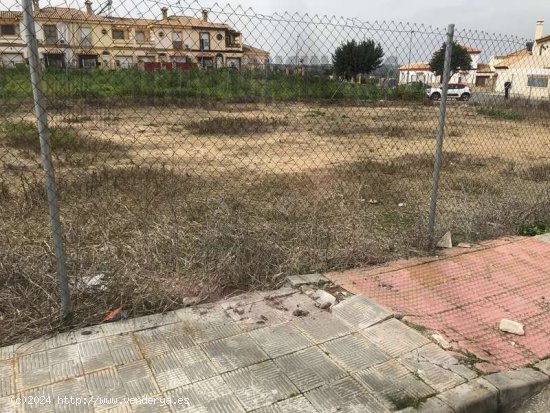 SE VENDE PARCELA URBANA EN HUEVAR DEL ALJARAFE - Aljarafe