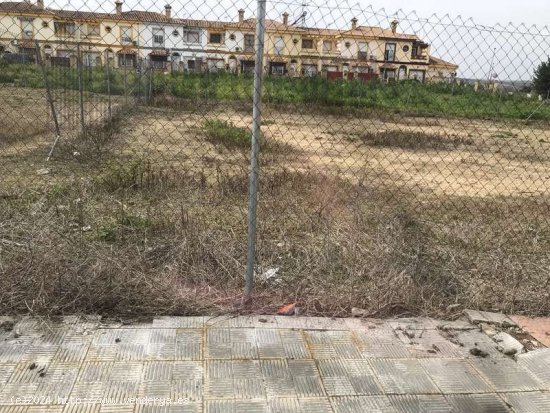 SE VENDE PARCELA URBANA EN HUEVAR DEL ALJARAFE - Aljarafe