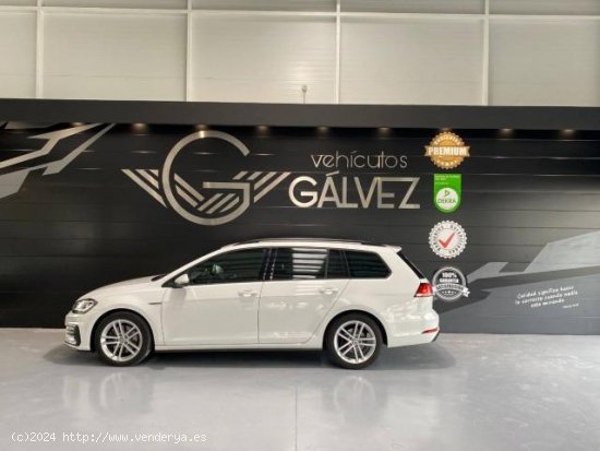 VOLKSWAGEN Golf en venta en Medina de Pomar (Burgos) - Medina de Pomar