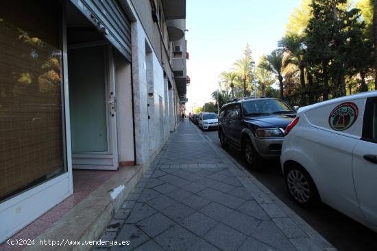 LOCAL CON MUCHO PASO DE GENTE, FRENTE A COLEGIO - ALICANTE