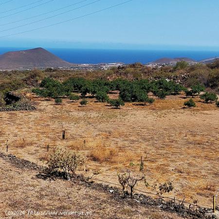 Terreno Malpais de Arafo - SANTA CRUZ DE TENERIFE