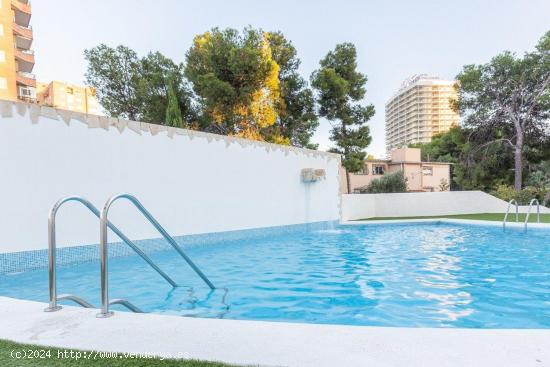 OPORTUNIDAD APARTAMENTO VISTAS INMEJORABLES REFORMADO - ALICANTE