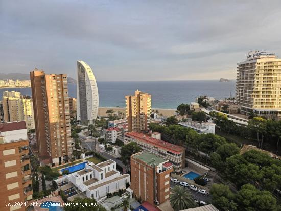 OPORTUNIDAD APARTAMENTO VISTAS INMEJORABLES REFORMADO - ALICANTE