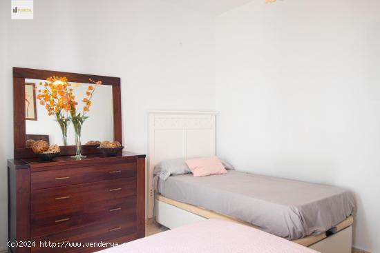 APARTAMENTO BARRIO ALTO - CADIZ