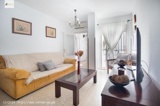 APARTAMENTO BARRIO ALTO - CADIZ