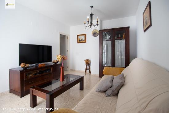 APARTAMENTO BARRIO ALTO - CADIZ