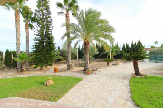 Chalet urbano a la venta en Valverde, Elche. - ALICANTE