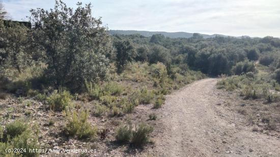 Tegeisa vende parcela con preciosas vistas en la Urbanización Nueva sierra - GUADALAJARA