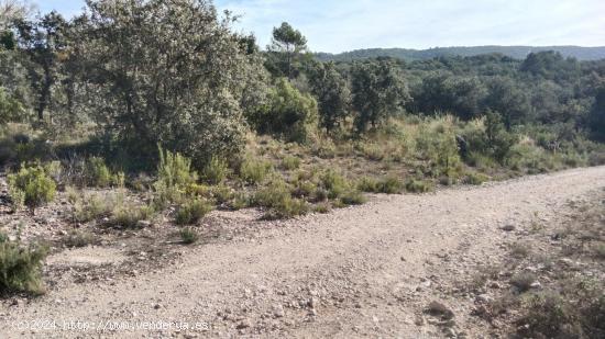 Tegeisa vende parcela con preciosas vistas en la Urbanización Nueva sierra - GUADALAJARA