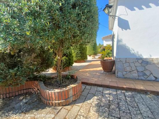 Chalet en Banyeres ALQUILER  con OPCIÓN a COMPRA - ALICANTE