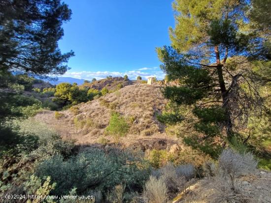 Finca de Monte de 46 Héctareas. - MURCIA