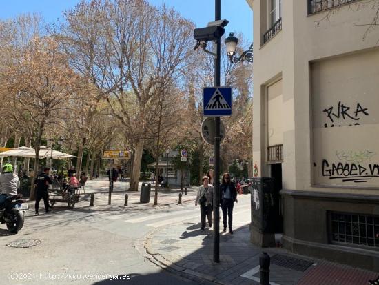 A la venta Local Comercial con inquilino en el Centro de Granada - GRANADA