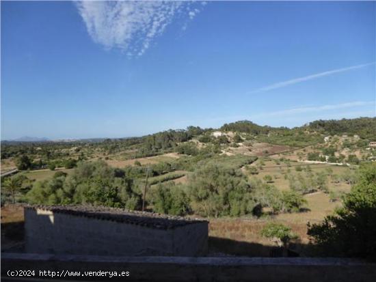  Solar urbano en costix - BALEARES 