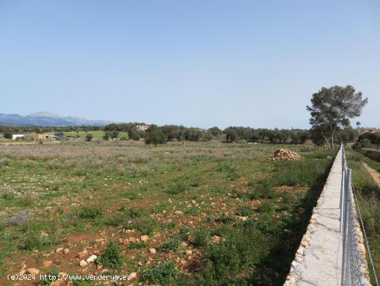 Finca rústica edificable entre Sineu y LLubí - BALEARES