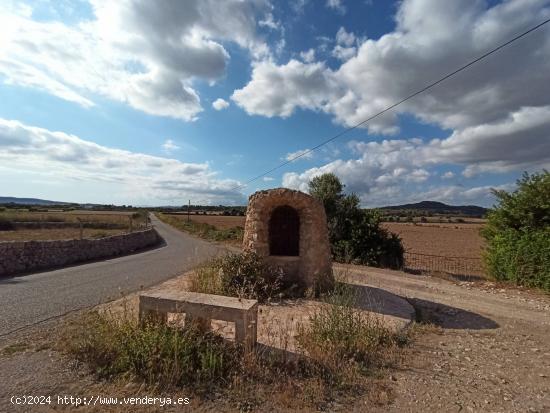  Gran finca rústica en Porreres - BALEARES 