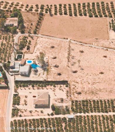 FINCA EN VENTA  CON CASI 20.000M2 Y CASI 500M2 DE CASA EN MATOLA - ALICANTE