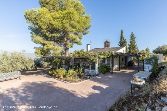  Casa rural con 300 olivos de riego y almendras - GRANADA 