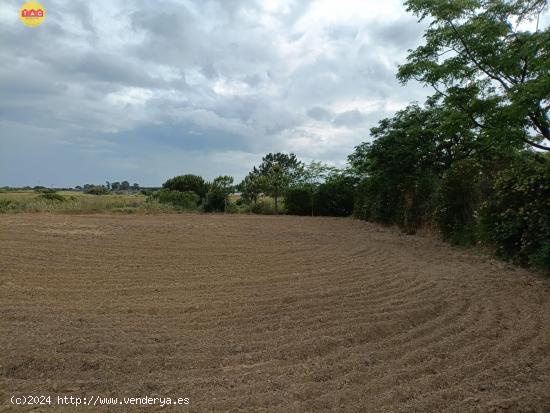 Finca con casa en Lepe - HUELVA