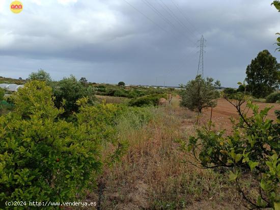 Finca con casa en Lepe - HUELVA