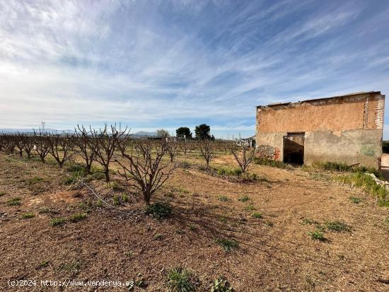  Caseta rural a pocos metros de la población de Benimodo - VALENCIA 